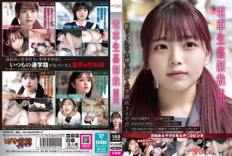 YDNS-011 Train Re Punishment #011
