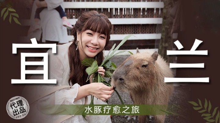 MM078 - Yilan Capybara Healing Tour